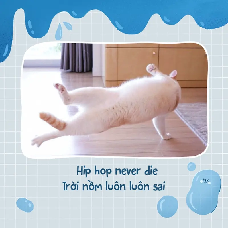 Meme nồm ẩm khiến bạn nhớ đến những ngày dép dính bùn mỗi sáng