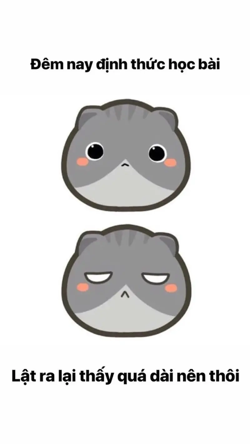 Cười vui với meme 