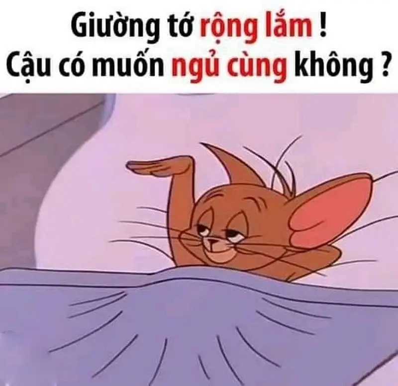 Meme nằm trên giường biểu tượng cho ngày ngủ nướng tuyệt vời