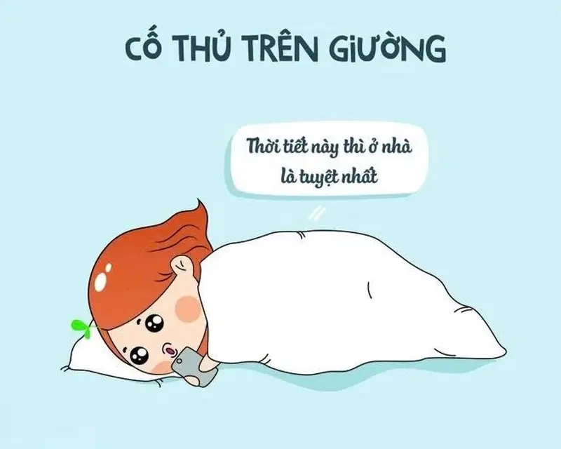 Meme lười chảy thây giúp bạn giải trí sau ngày dài mệt mỏi
