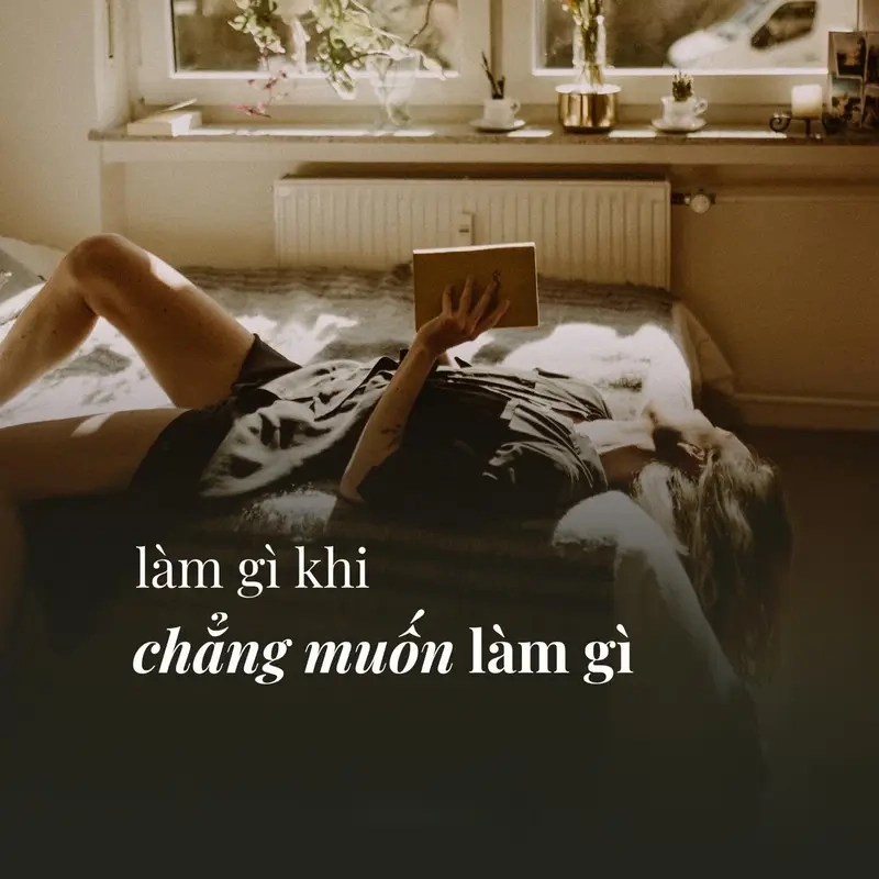 Meme không muốn làm gì giúp bạn cảm thấy không cô đơn trong lười biếng