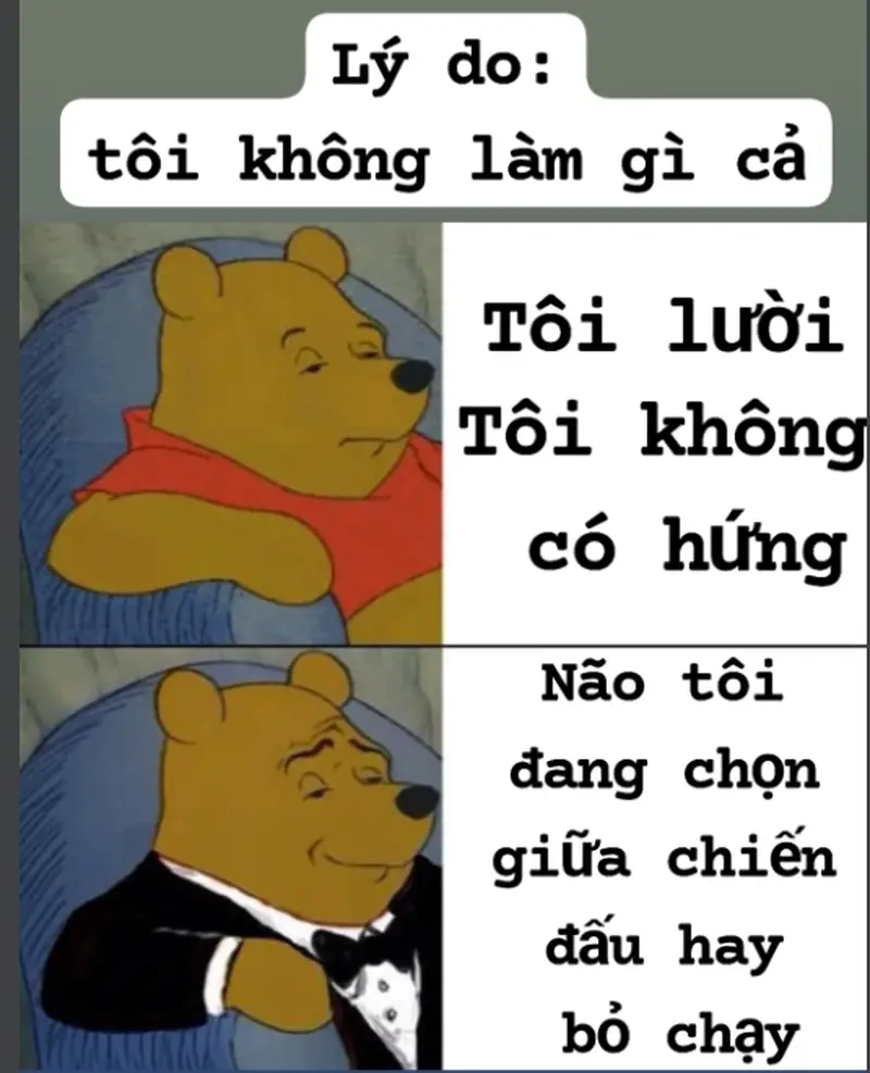 Tận hưởng meme lười chảy thây cùng bạn bè để xua tan stress