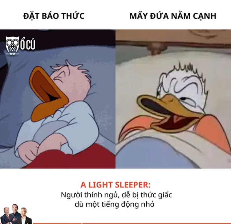 Khi meme bật báo thức và ngủ tiếp trở thành kịch bản quen thuộc