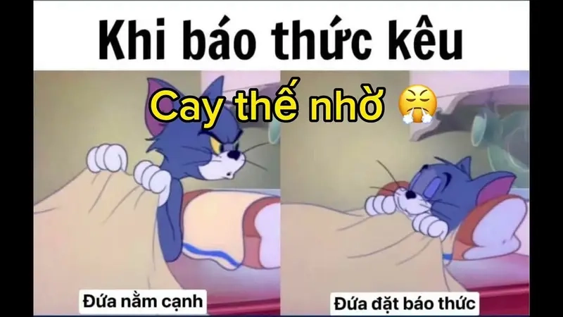 Thức dậy không thành vì meme bật báo thức và ngủ tiếp luôn thắng thế