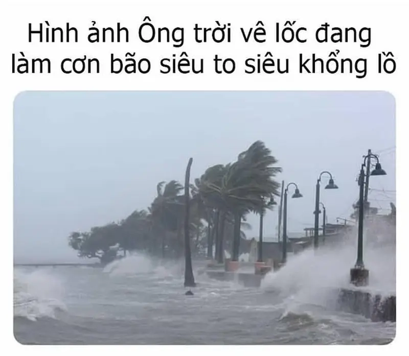 Meme bão hấp dẫn meme về Sự kiện xã hội, tin tức