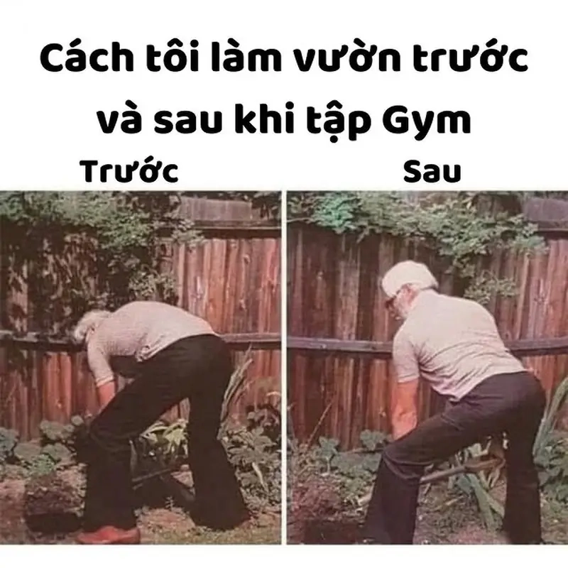 Meme đau nhức sau khi tập khiến bạn suy nghĩ lại về việc khỏe đẹp