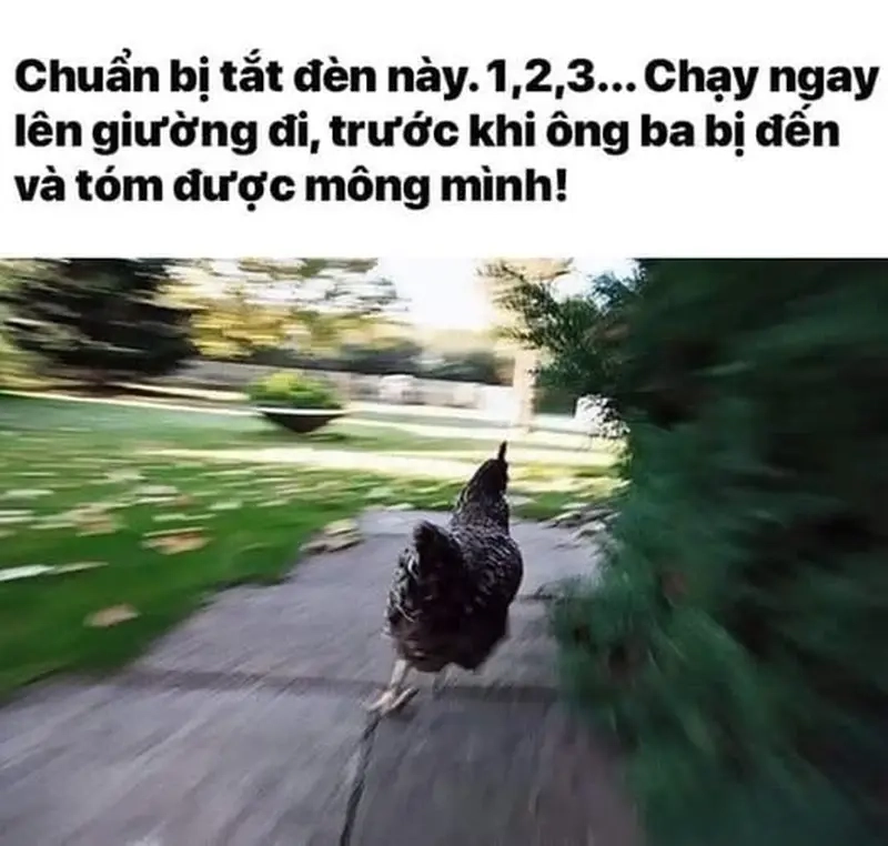 Meme chạy bộ và chiếc đồng hồ đếm giờ chậm hơn cả rùa bò