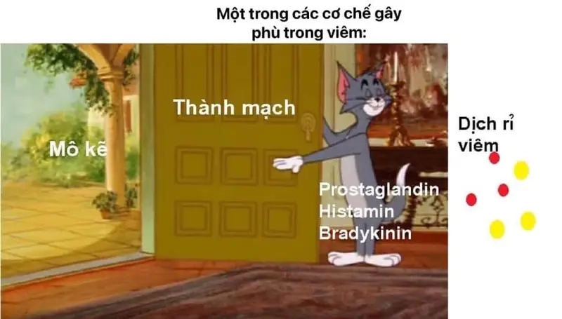 Meme bệnh vặt và hành trình tự chẩn đoán với Google