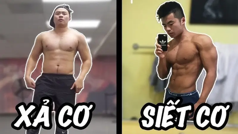 Khi body thay đổi nhờ meme bulk và siết chăm chỉ