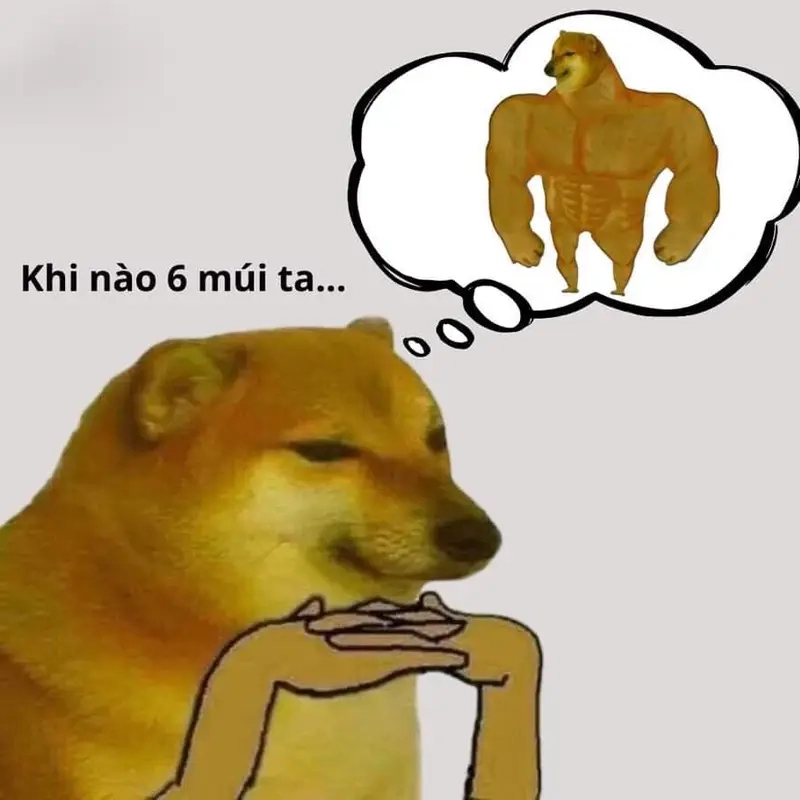 Meme về tập gym & fitness và hành trình “độ” body hoàn hảo