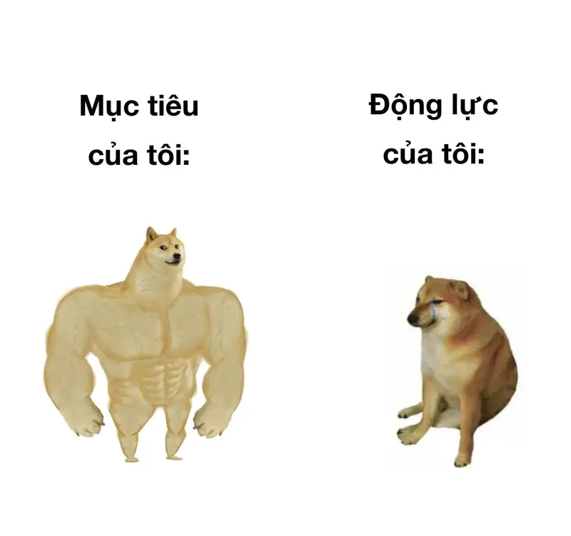 Mỗi bước meme 