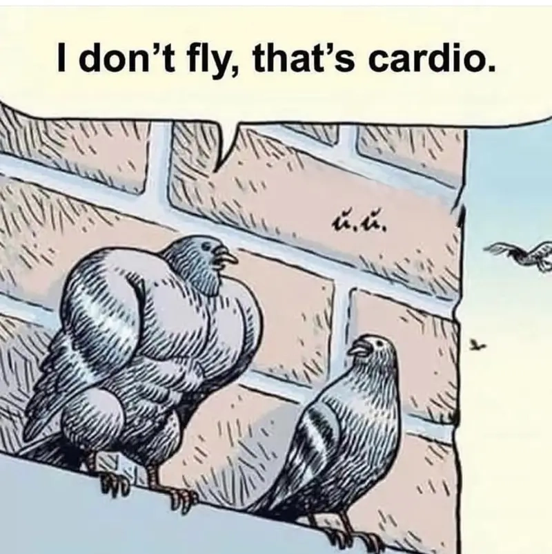 Khi cardio trở thành thử thách kinh điển trong meme cardio