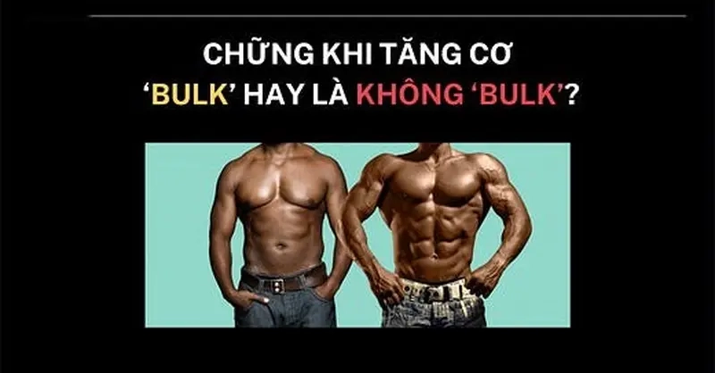 Từ béo lên mập rồi siết lại body meme bulk và siết