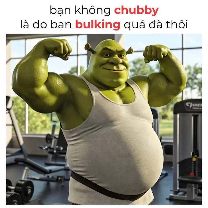 Không ai hiểu nổi meme bulk và siết ngoài gymer thực thụ