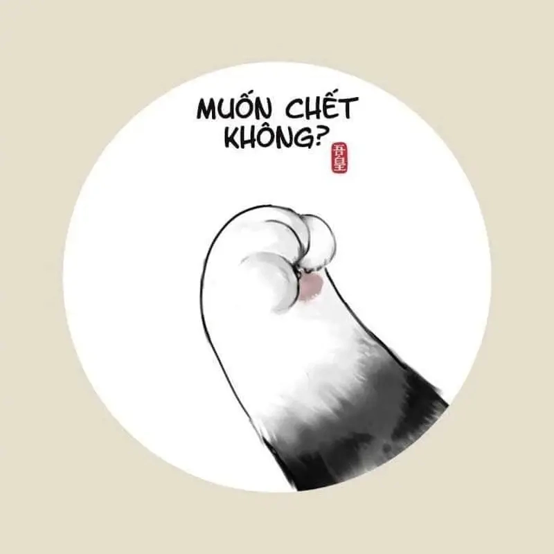 Meme hoàng thượng (mèo) có thể làm mưa làm gió trong nhà