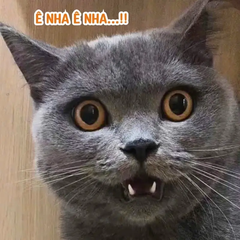 Khi boss (chó, mèo) đòi quà làm con sen vất vả meme boss (chó, mèo)