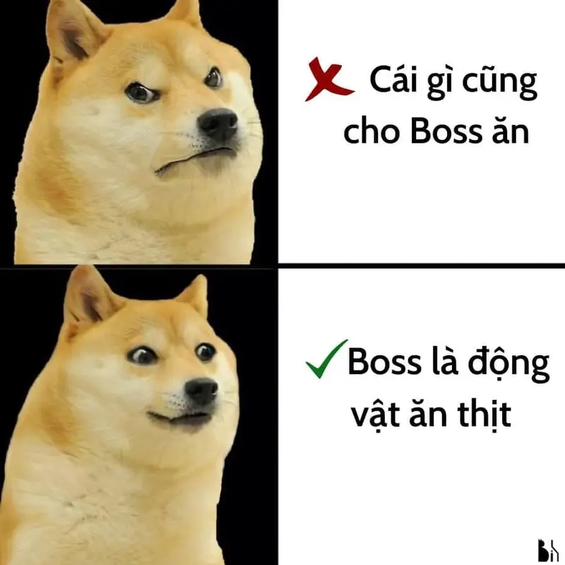 Cách xin lỗi boss dỗi chuẩn nhất meme khi boss dỗi