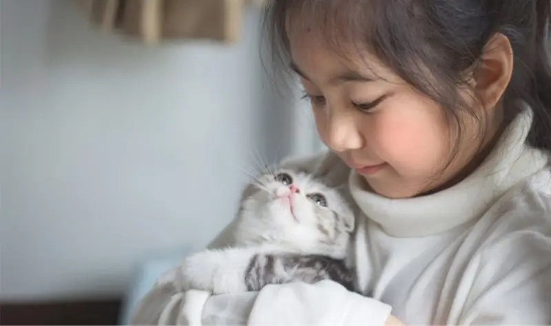 Khi meme nói chuyện với thú cưng là cách để giải tỏa stress