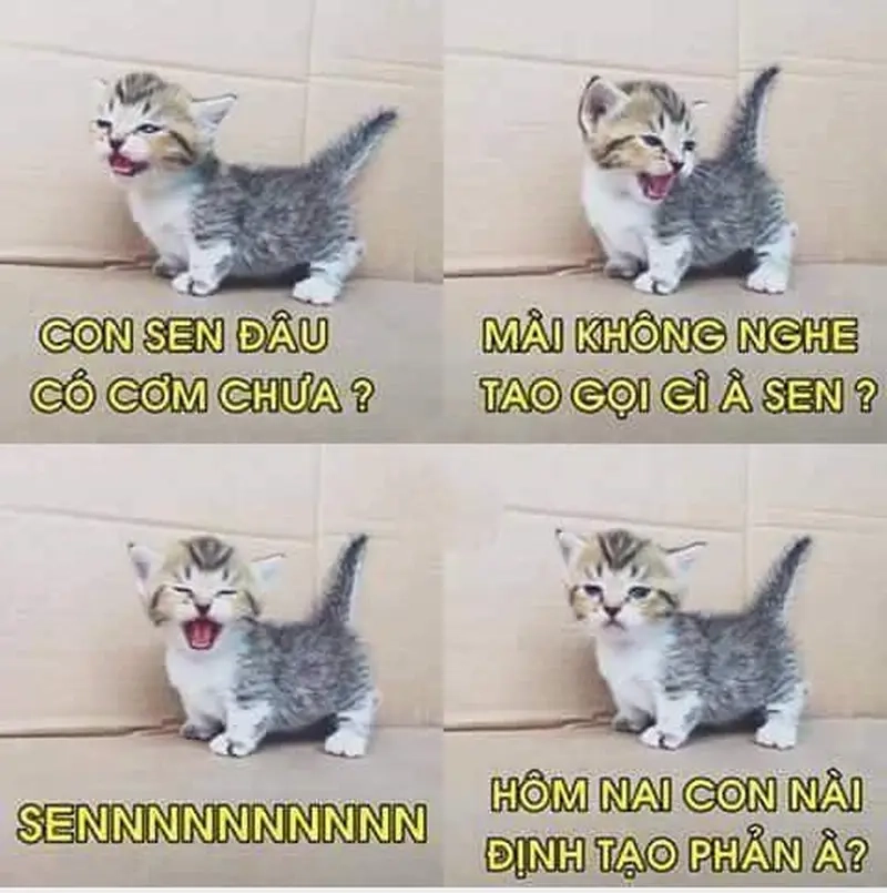 Con sen chuẩn bị bị boss sai khiến meme con sen