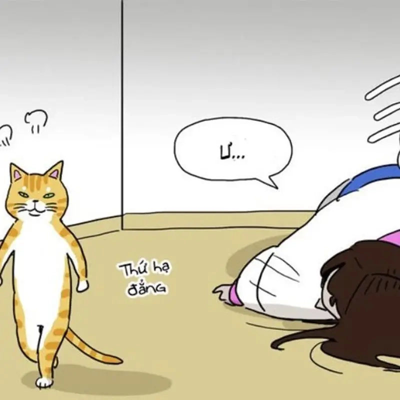 Sự kiêu kỳ của meme hoàng thượng (mèo) ai cũng phải nể