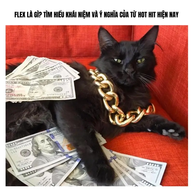 Meme về tiền bạc, tài chính với meme flexing gây bão cộng đồng