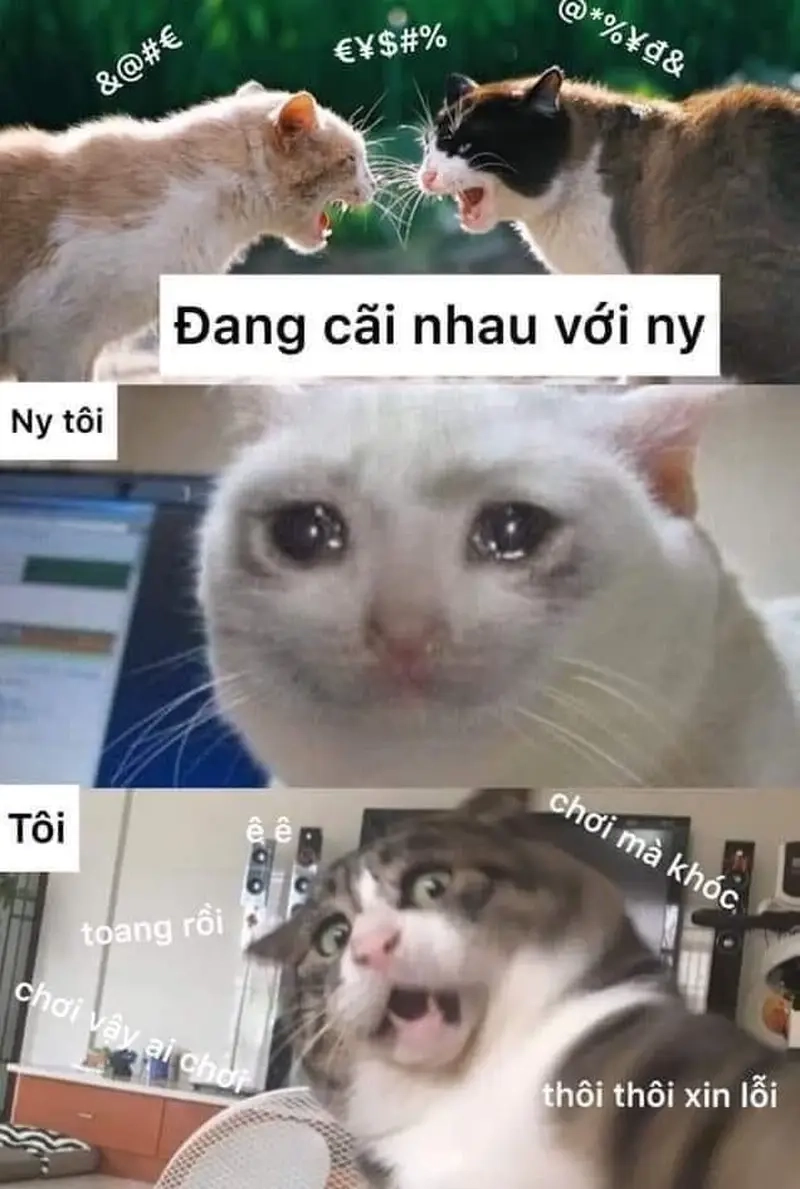 Cười nhẹ nhàng với meme cãi nhau với người yêu cực duyên dáng