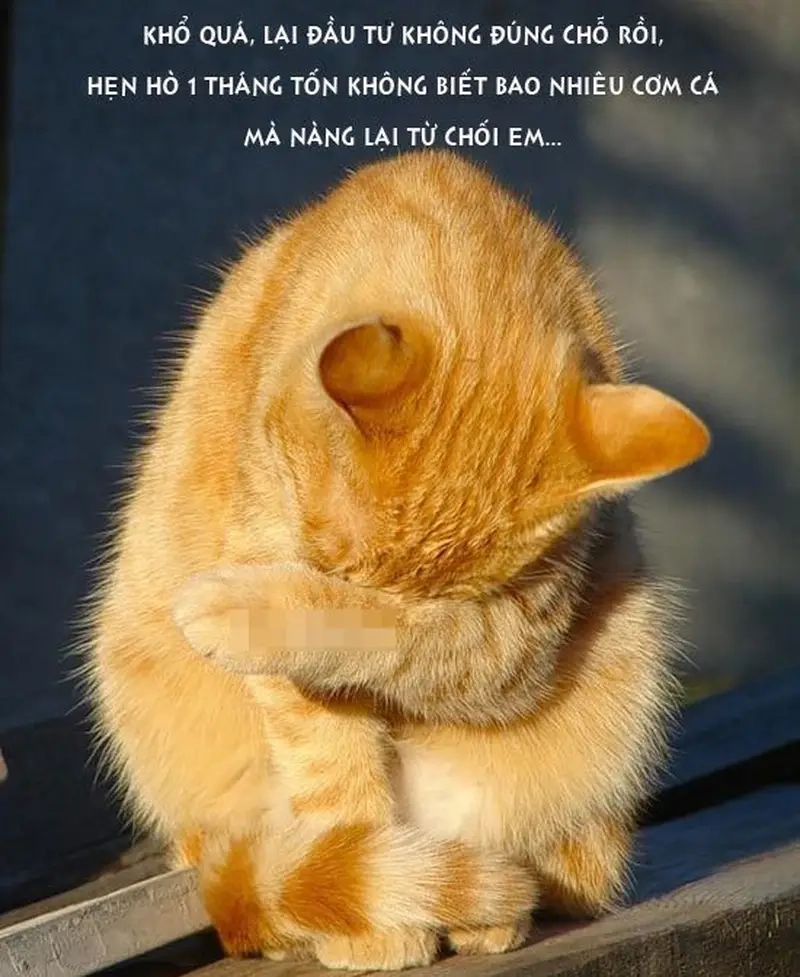 Meme thất tình giúp bạn vượt qua nỗi đau một cách hài hước