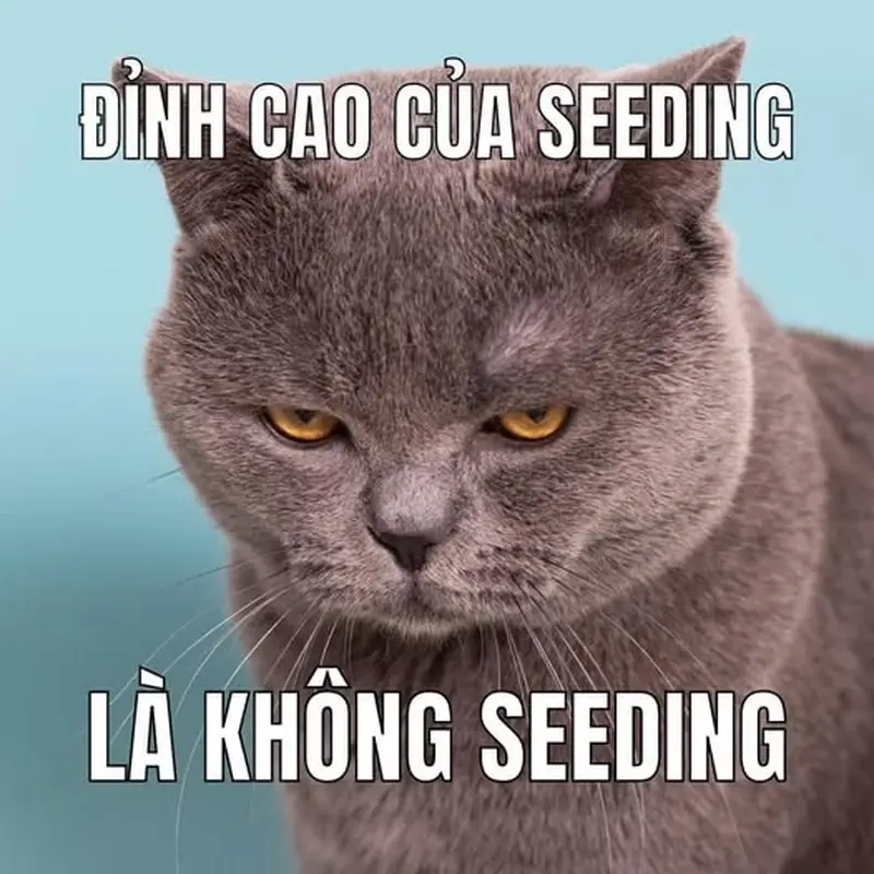Meme về Văn hóa Internet với meme seeding độc đáo
