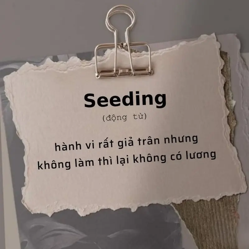 Meme seeding nổi bật meme về Văn hóa Internet