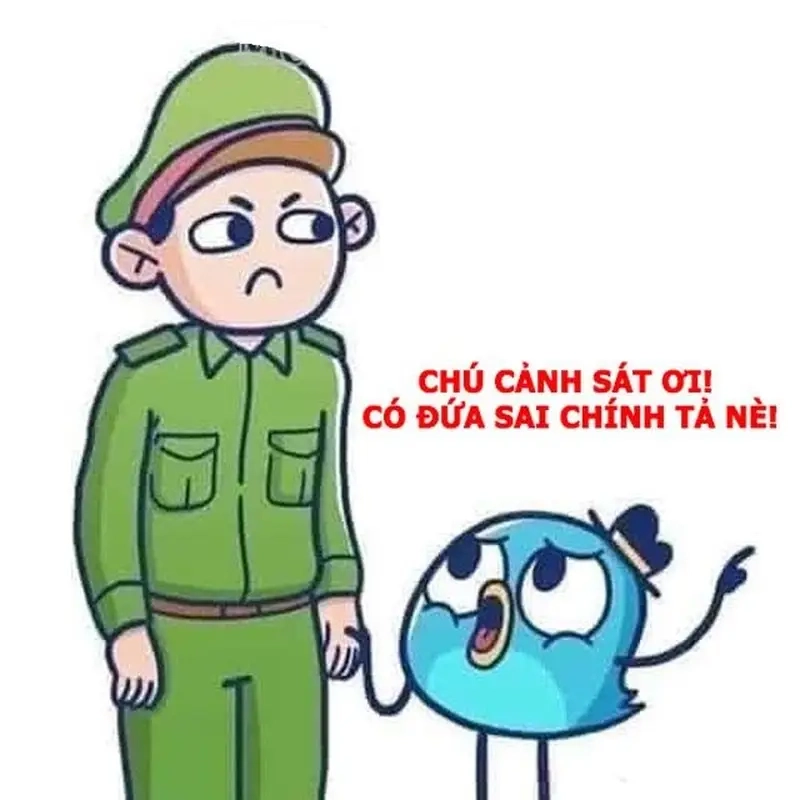 Meme bắt bẻ lỗi chính tả đặc sắc meme về Văn hóa Internet