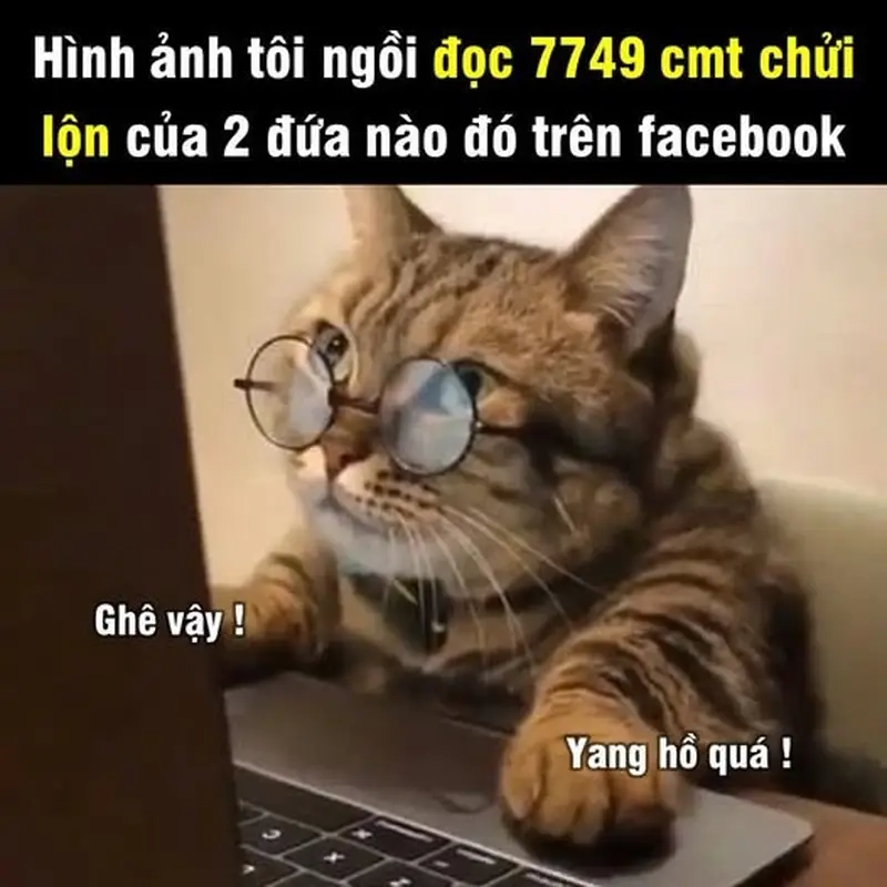 Meme về Văn hóa Internet với meme drama trên mạng hài hước