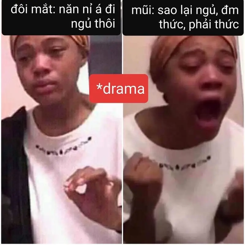 Meme drama trên mạng nổi bật meme về Văn hóa Internet