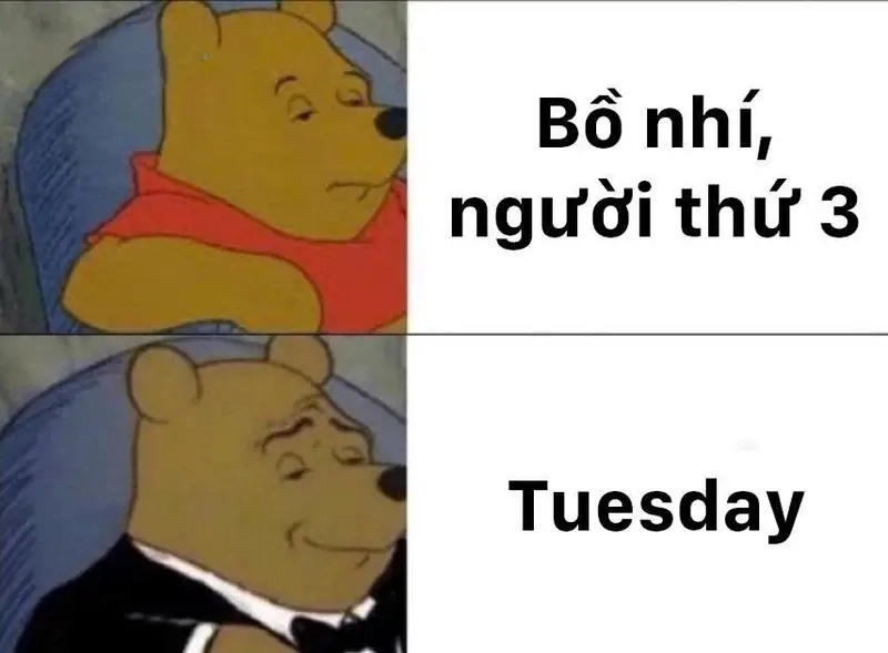 Khám phá meme Tuesday meme về Văn hóa Internet đặc sắc