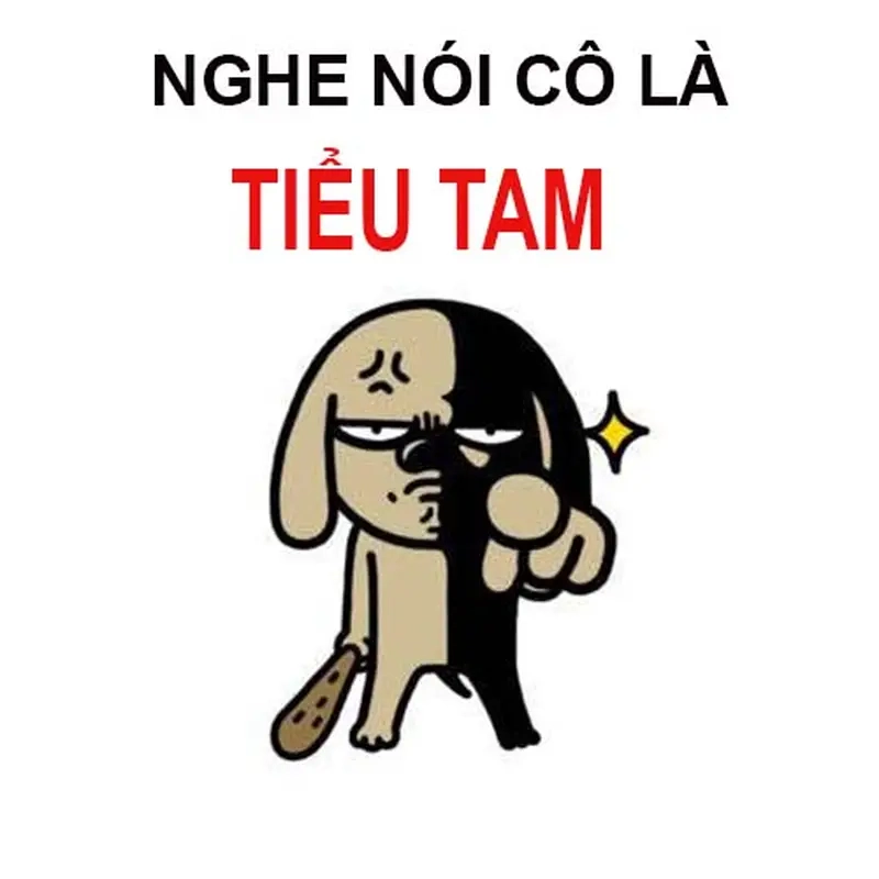 Tổng hợp meme Tuesday meme về Văn hóa Internet thu hút