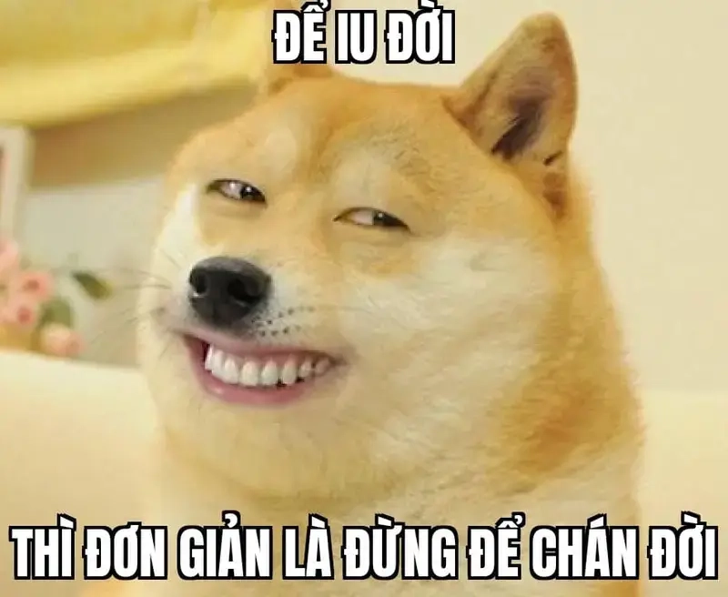 Ngày mới bắt đầu với một chiếc meme yêu đời là đúng bài!