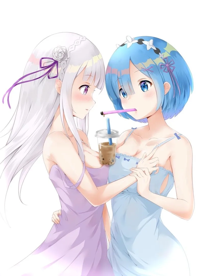 Emilia Rem Ram là những nhân vật nữ được vẽ fanart nhiều nhất