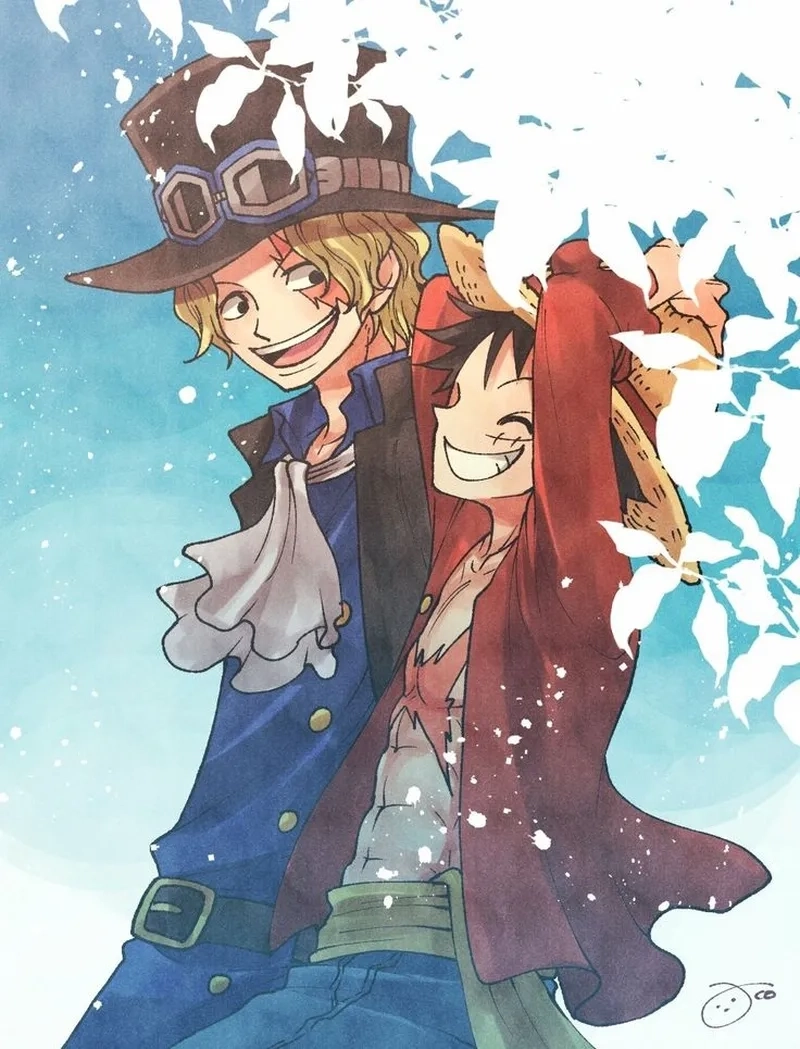Chiêm ngưỡng poster Sabo One Piece đẹp và ý nghĩa