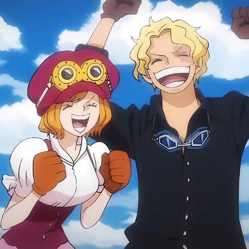 Liệu Luffy và Sabo đam mỹ có được fan ủng hộ?