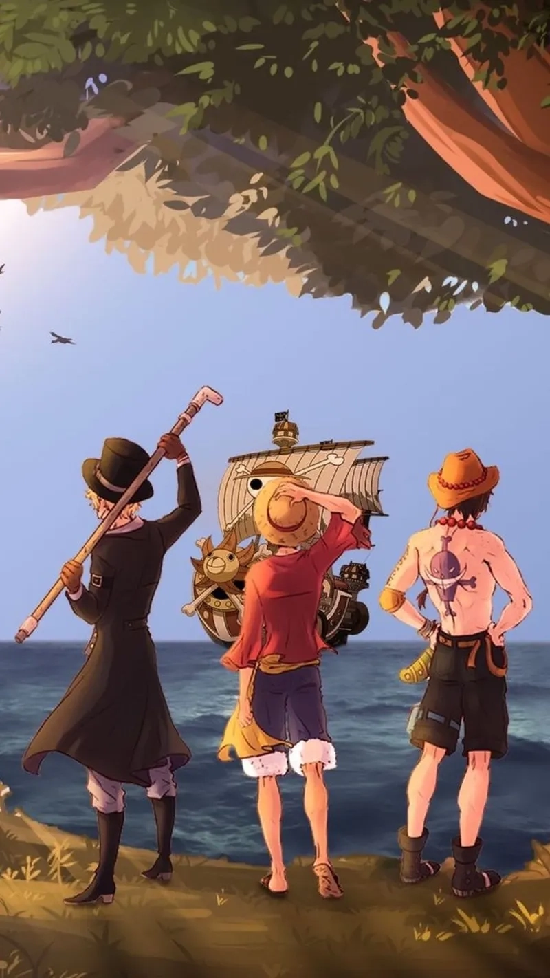 Fanfiction Luffy Ace Sabo đam mỹ gây sốt