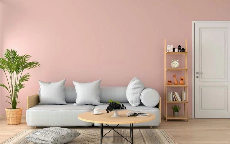 màu sơn nhà hồng nhạt dịu dàng mẫu sơn nhà màu hồng