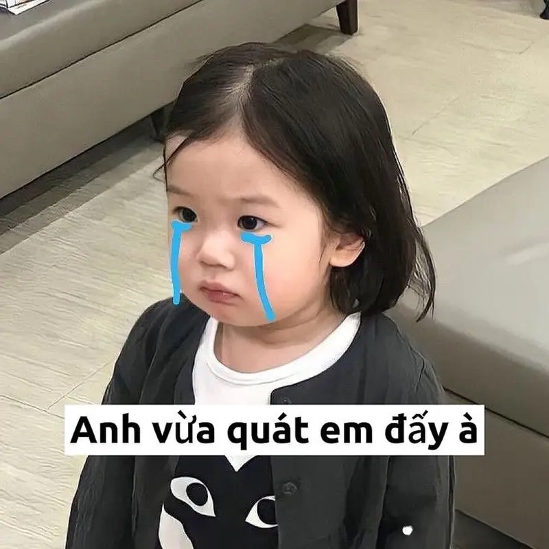 Cập nhật liên tục ảnh chế meme mới nhất cho dân mê hài