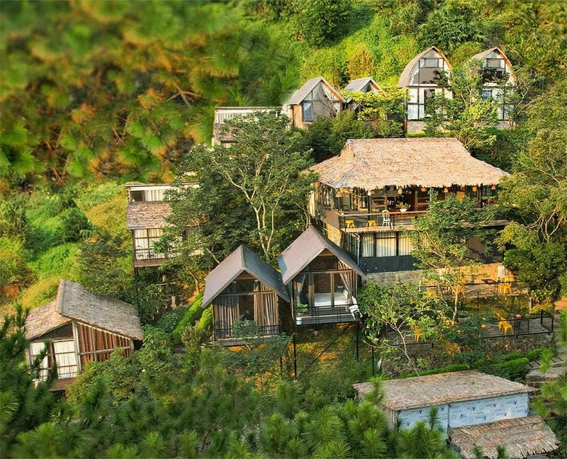 Cổ điển tinh tế với mẫu nhà homestay vintage