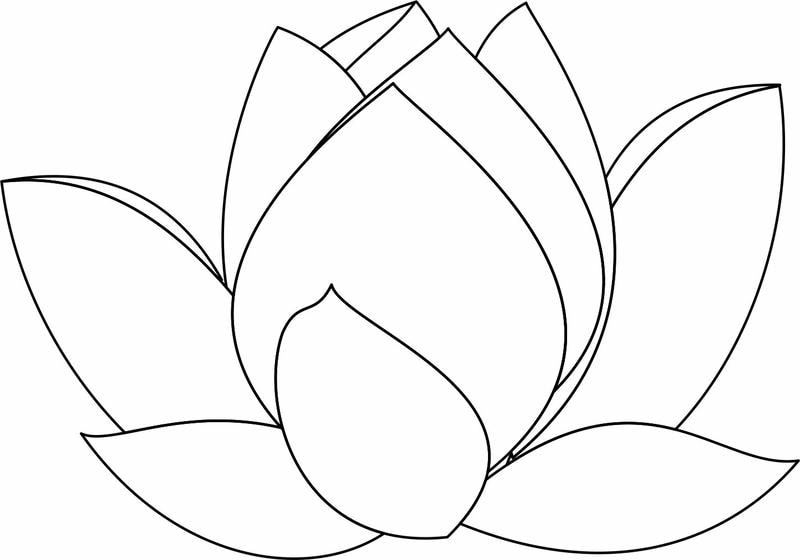 Bộ sưu tập hình ảnh bông hoa chưa tô màu