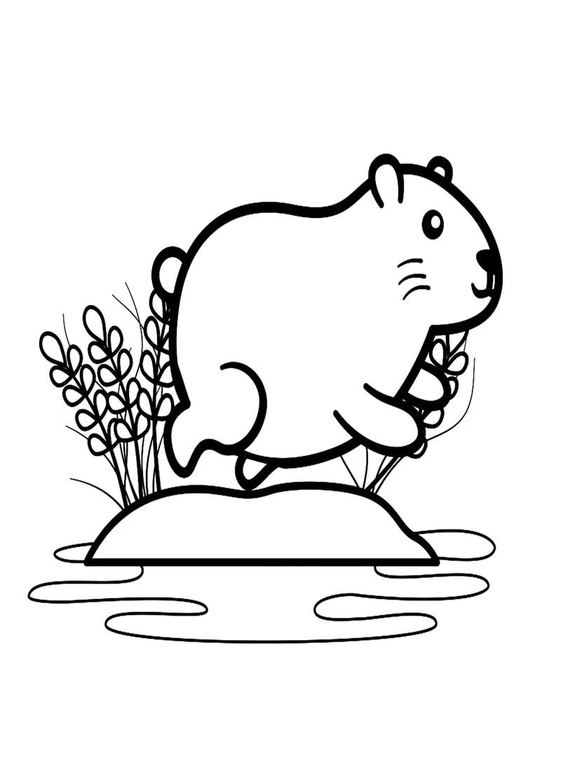 Tranh tô màu capybara cute chibi dễ thương cho bé