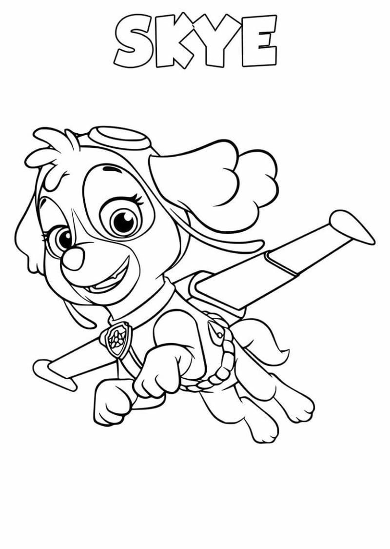 Khám phá bộ paw patrol tranh tô màu đội chó cứu hộ cho bé