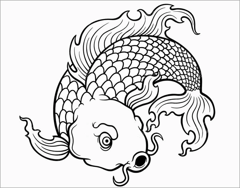 Mẫu hình con cá cho bé tô màu được tìm nhiều nhất