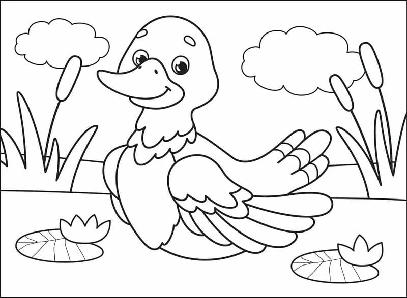 Khám phá bộ tranh vịt donald tô màu