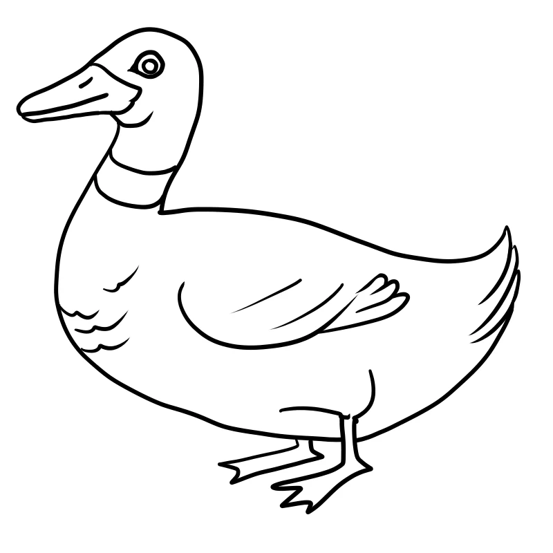 Cách đơn giản để tô màu vịt donald