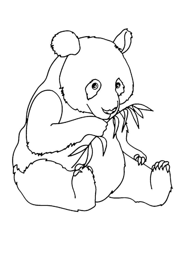 Top hình tô màu gấu trúc cute cho bé luyện kỹ năng tô màu