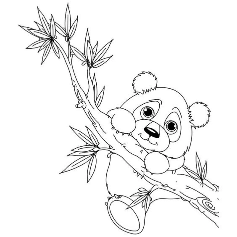 Tặng bé bộ tô màu gấu panda học mà chơi không chán